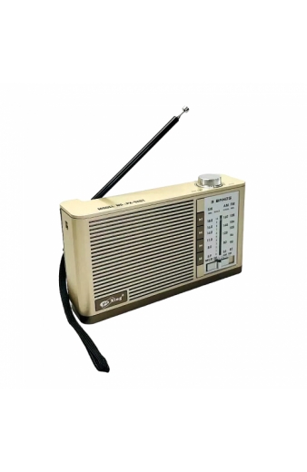 Επαναφορτιζόμενο ραδιόφωνο – PX-92BT - 000923 - Gold