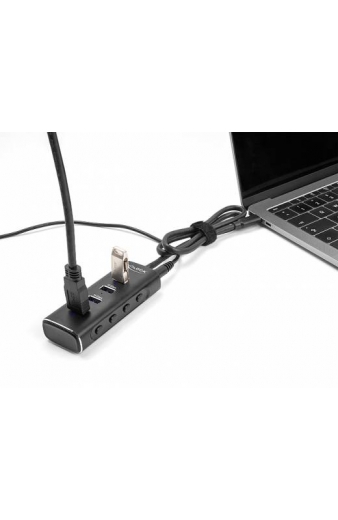 DELOCK USB hub 64233 με διακόπτες, 4 θυρών, 10Gbps, USB-C σύνδεση, μαύρο